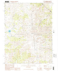 Mount Patterson California Historical topographic map, 1:24000 scale, 7.5 X 7.5 Minute, Year 1989