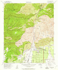 Mt. Baldy California Historical topographic map, 1:24000 scale, 7.5 X 7.5 Minute, Year 1954