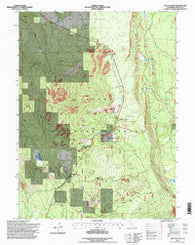 Old Station California Historical topographic map, 1:24000 scale, 7.5 X 7.5 Minute, Year 1995