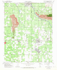 Orange Cove South California Historical topographic map, 1:24000 scale, 7.5 X 7.5 Minute, Year 1966