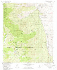 Palm View Peak California Historical topographic map, 1:24000 scale, 7.5 X 7.5 Minute, Year 1981