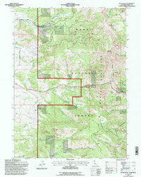 Payne Peak California Historical topographic map, 1:24000 scale, 7.5 X 7.5 Minute, Year 1993