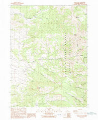 Payne Peak California Historical topographic map, 1:24000 scale, 7.5 X 7.5 Minute, Year 1990