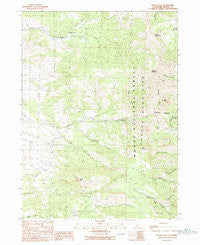 Payne Peak California Historical topographic map, 1:24000 scale, 7.5 X 7.5 Minute, Year 1990