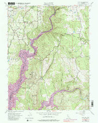 Pilot Hill California Historical topographic map, 1:24000 scale, 7.5 X 7.5 Minute, Year 1954