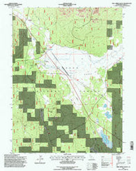 Pine Creek Valley California Historical topographic map, 1:24000 scale, 7.5 X 7.5 Minute, Year 1995