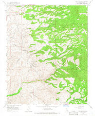 Pine Mountain California Historical topographic map, 1:24000 scale, 7.5 X 7.5 Minute, Year 1965