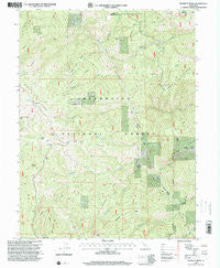 Plaskett Ridge California Historical topographic map, 1:24000 scale, 7.5 X 7.5 Minute, Year 1996
