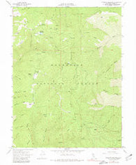 Plaskett meadows California Historical topographic map, 1:24000 scale, 7.5 X 7.5 Minute, Year 1967