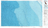Point Estero California Historical topographic map, 1:100000 scale, 30 X 60 Minute, Year 1983