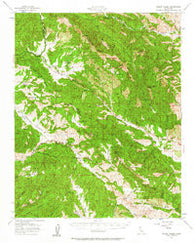 Priest Valley California Historical topographic map, 1:62500 scale, 15 X 15 Minute, Year 1956