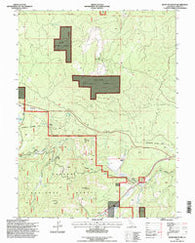 Roop Mountain California Historical topographic map, 1:24000 scale, 7.5 X 7.5 Minute, Year 1995