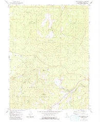 Roop Mountain California Historical topographic map, 1:24000 scale, 7.5 X 7.5 Minute, Year 1980