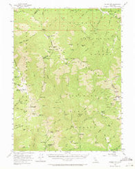 Salmon Mtn California Historical topographic map, 1:62500 scale, 15 X 15 Minute, Year 1955