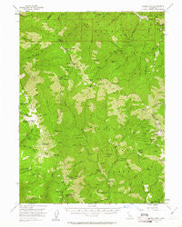Salmon Mtn California Historical topographic map, 1:62500 scale, 15 X 15 Minute, Year 1955