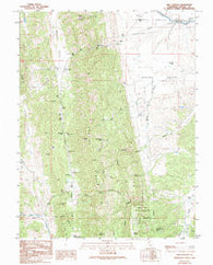 Salt Canyon California Historical topographic map, 1:24000 scale, 7.5 X 7.5 Minute, Year 1989