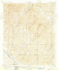 San Miguel California Historical topographic map, 1:62500 scale, 15 X 15 Minute, Year 1919