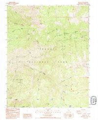 Silver City California Historical topographic map, 1:24000 scale, 7.5 X 7.5 Minute, Year 1993