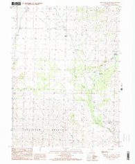 Snowstorm Mountain California Historical topographic map, 1:24000 scale, 7.5 X 7.5 Minute, Year 1989