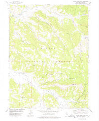 Squaw Valley Peak California Historical topographic map, 1:24000 scale, 7.5 X 7.5 Minute, Year 1977