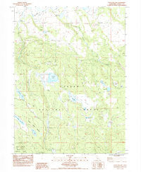 Straylor Lake California Historical topographic map, 1:24000 scale, 7.5 X 7.5 Minute, Year 1983