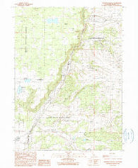 Surprise Station California Historical topographic map, 1:24000 scale, 7.5 X 7.5 Minute, Year 1990