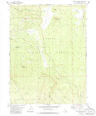 Swain Mountain California Historical topographic map, 1:24000 scale, 7.5 X 7.5 Minute, Year 1979
