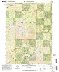 Tangle Blue Lake California Historical topographic map, 1:24000 scale, 7.5 X 7.5 Minute, Year 1998