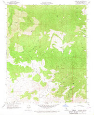 Tehachapi NE California Historical topographic map, 1:24000 scale, 7.5 X 7.5 Minute, Year 1966