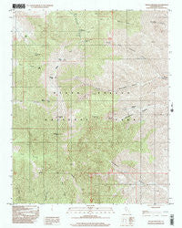 Telescope Peak California Historical topographic map, 1:24000 scale, 7.5 X 7.5 Minute, Year 1998