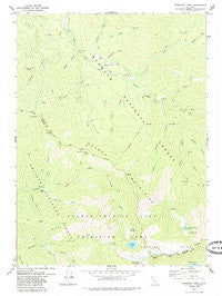 Thompson Peak California Historical topographic map, 1:24000 scale, 7.5 X 7.5 Minute, Year 1979