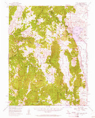 Topaz Lake California Historical topographic map, 1:62500 scale, 15 X 15 Minute, Year 1956