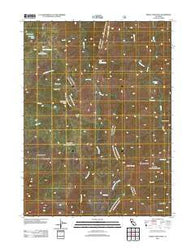 Trinity Mountain California Historical topographic map, 1:24000 scale, 7.5 X 7.5 Minute, Year 2012