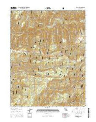 Washington California Current topographic map, 1:24000 scale, 7.5 X 7.5 Minute, Year 2015