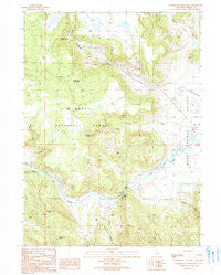 Washington Mountain California Historical topographic map, 1:24000 scale, 7.5 X 7.5 Minute, Year 1990
