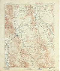 Wellington Nevada Historical topographic map, 1:125000 scale, 30 X 30 Minute, Year 1891