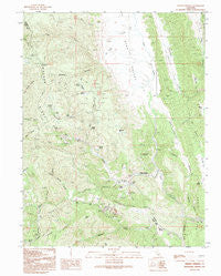Wilbur Springs California Historical topographic map, 1:24000 scale, 7.5 X 7.5 Minute, Year 1991