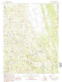 Wilbur Springs California Historical topographic map, 1:24000 scale, 7.5 X 7.5 Minute, Year 1989