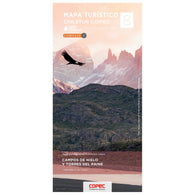 Buy map Campos de Hielo - Torres del Paine National Park Road Map (map # 8)