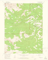 Allens Park Colorado Historical topographic map, 1:24000 scale, 7.5 X 7.5 Minute, Year 1957