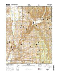 Almont Colorado Current topographic map, 1:24000 scale, 7.5 X 7.5 Minute, Year 2016