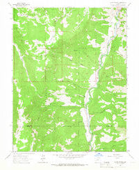 Alpine Plateau Colorado Historical topographic map, 1:24000 scale, 7.5 X 7.5 Minute, Year 1963