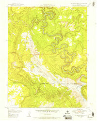 Anderson Mesa Colorado Historical topographic map, 1:24000 scale, 7.5 X 7.5 Minute, Year 1949