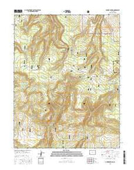 Antone Spring Colorado Current topographic map, 1:24000 scale, 7.5 X 7.5 Minute, Year 2016