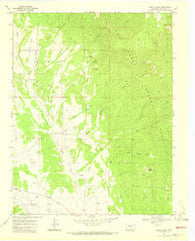 Badito Cone Colorado Historical topographic map, 1:24000 scale, 7.5 X 7.5 Minute, Year 1969