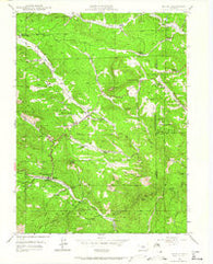 Bailey Colorado Historical topographic map, 1:24000 scale, 7.5 X 7.5 Minute, Year 1945