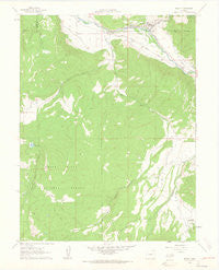 Basalt Colorado Historical topographic map, 1:24000 scale, 7.5 X 7.5 Minute, Year 1961