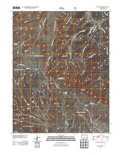 Bear Creek Colorado Historical topographic map, 1:24000 scale, 7.5 X 7.5 Minute, Year 2011