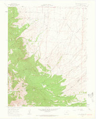 Beck Mountain Colorado Historical topographic map, 1:24000 scale, 7.5 X 7.5 Minute, Year 1960