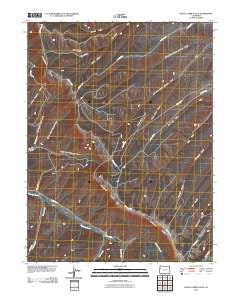 Black Cabin Gulch Colorado Historical topographic map, 1:24000 scale, 7.5 X 7.5 Minute, Year 2010